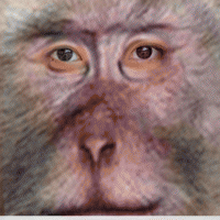 培训平面设计∈实战项目∈实用∈速成