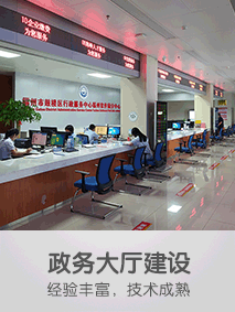 213 283政务大厅建设.gif