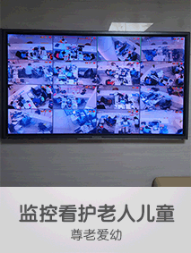 213 283监控看护.gif