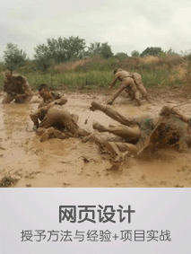 213 283网页设计.gif