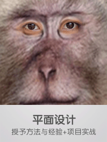 213 283平面设计.gif