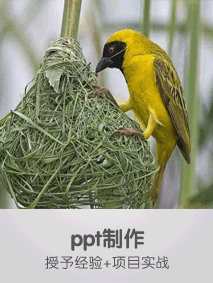 213 283ppt制作.gif