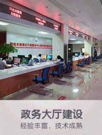 政务大厅和企业办公，信息化建设