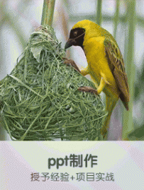 培训PPT制作→实战项目→实用→速成