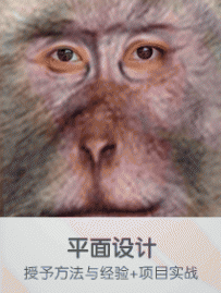 培训平面设计∈实战项目∈实用∈速成