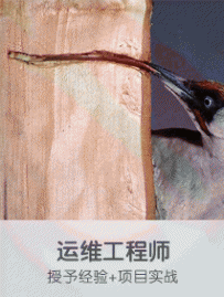培训运维工程师§实用§速成