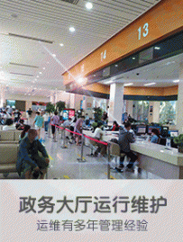 政务大厅和企业办公信息化，运行维护